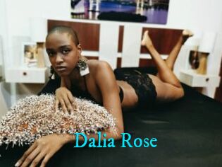 Dalia_Rose