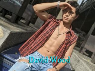 David_Wood