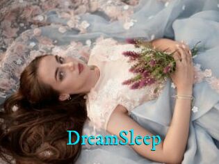 DreamSleep