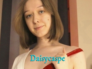 Daisycaspe