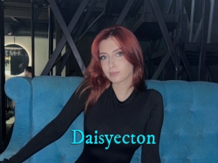 Daisyecton