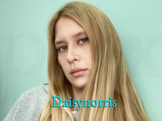 Daisynorris