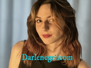 Darlenegriscom