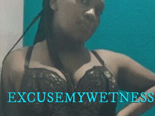 EXCUSEMYWETNESS