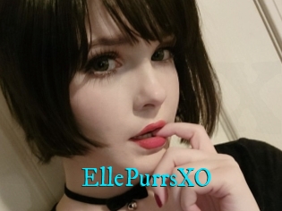 EllePurrsXO