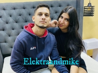 Elektraandmike