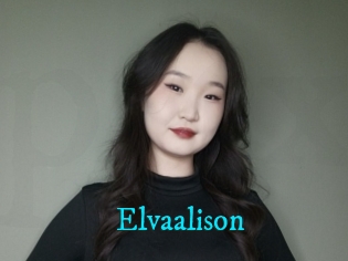 Elvaalison