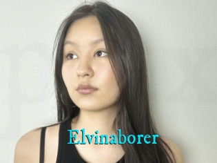 Elvinaborer