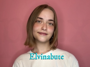 Elvinabute