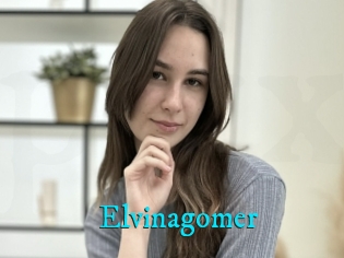 Elvinagomer