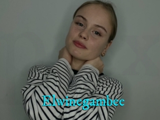 Elwinegambee