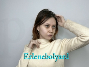 Erlenebolyard