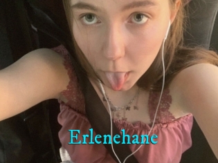 Erlenehane