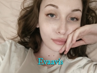 Evaavis