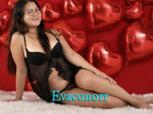 Evaconorr