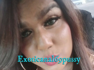 Exoticanal69pussy