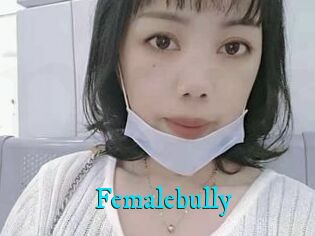 Femalebully