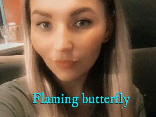 Flaming_butterfly