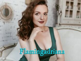 Flamingadriana