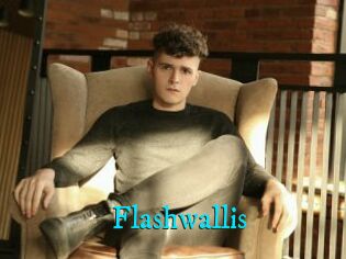 Flashwallis