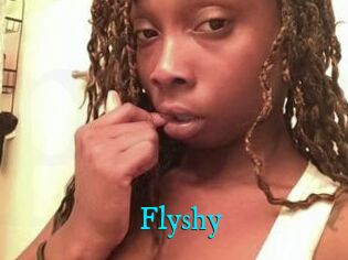 Flyshy