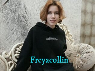 Freyacollin