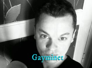 Gayminet