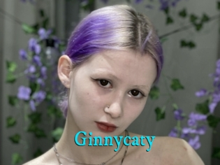 Ginnycaty