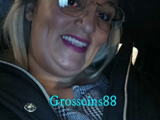 Grosseins88