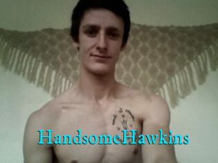 HandsomeHawkins