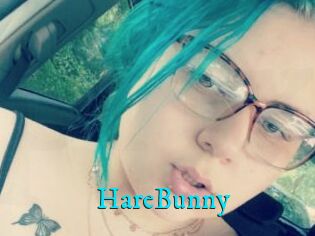 HareBunny