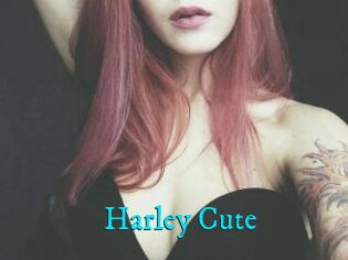 Harley_Cute