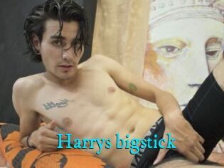 Harrys_bigstick