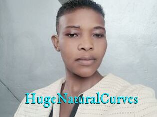 HugeNaturalCurves