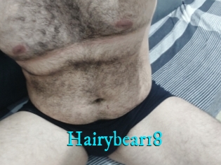 Hairybear18