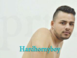 Hardhornyboy