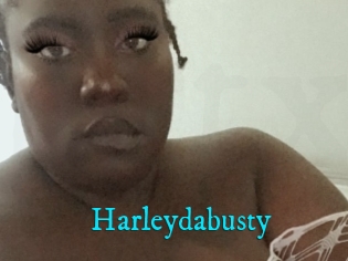 Harleydabusty