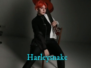 Harleysnake