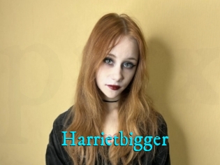 Harrietbigger