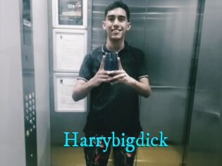 Harrybigdick