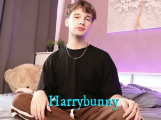 Harrybunny