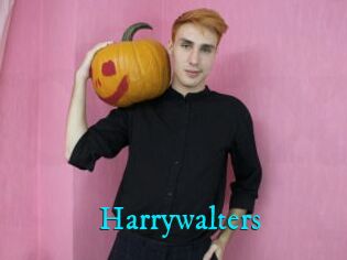 Harrywalters