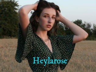 Heylarose