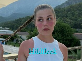 Hildfleek