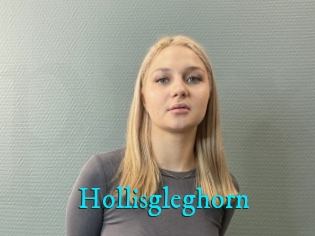 Hollisgleghorn