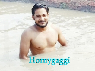 Hornygaggi