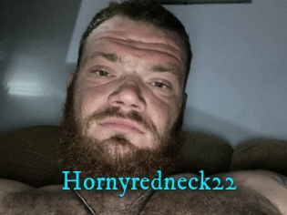 Hornyredneck22