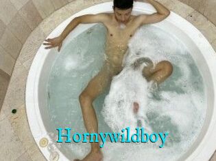 Hornywildboy