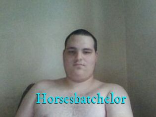 Horsesbatchelor