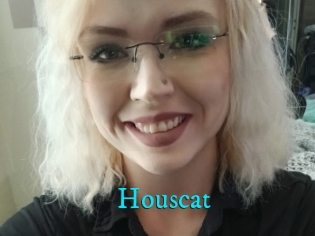 Houscat